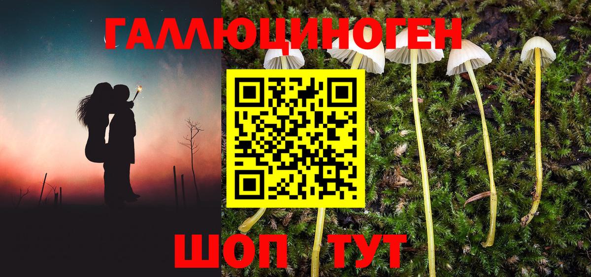 Псилоцибиновые грибы Psilocybe Серпухов
