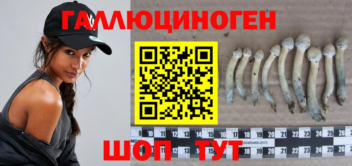 Серпухов  Галлюциногенные грибы мицелий  наркошоп  Вход с VPN 